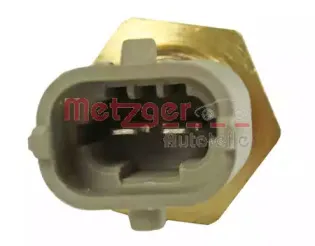 metzger-0905006